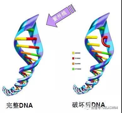 疫情當(dāng)下，泳池場(chǎng)館的運(yùn)營(yíng)者們還能輕視消毒嗎？